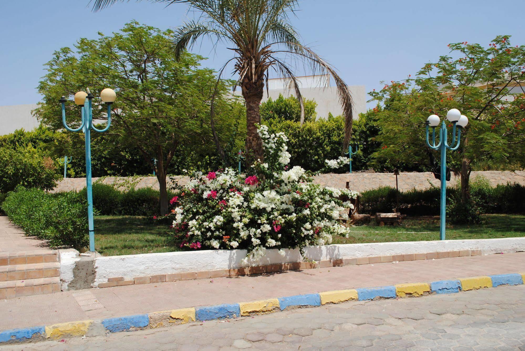 Sharm Cliff Resort Eksteriør bilde